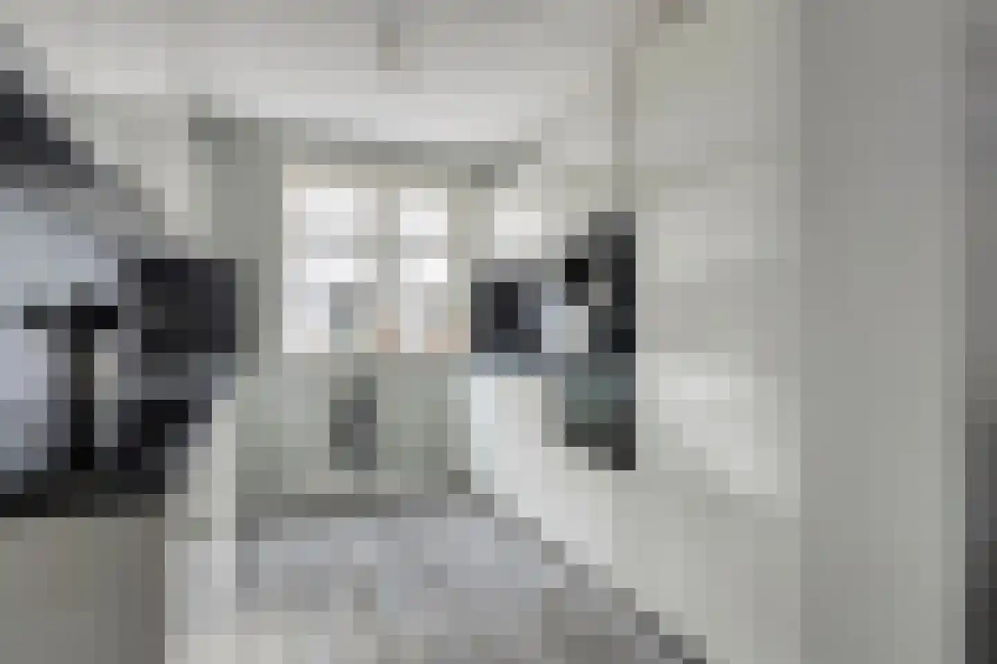 Beckaff 3 Bergen op Zoom thumbnail 5