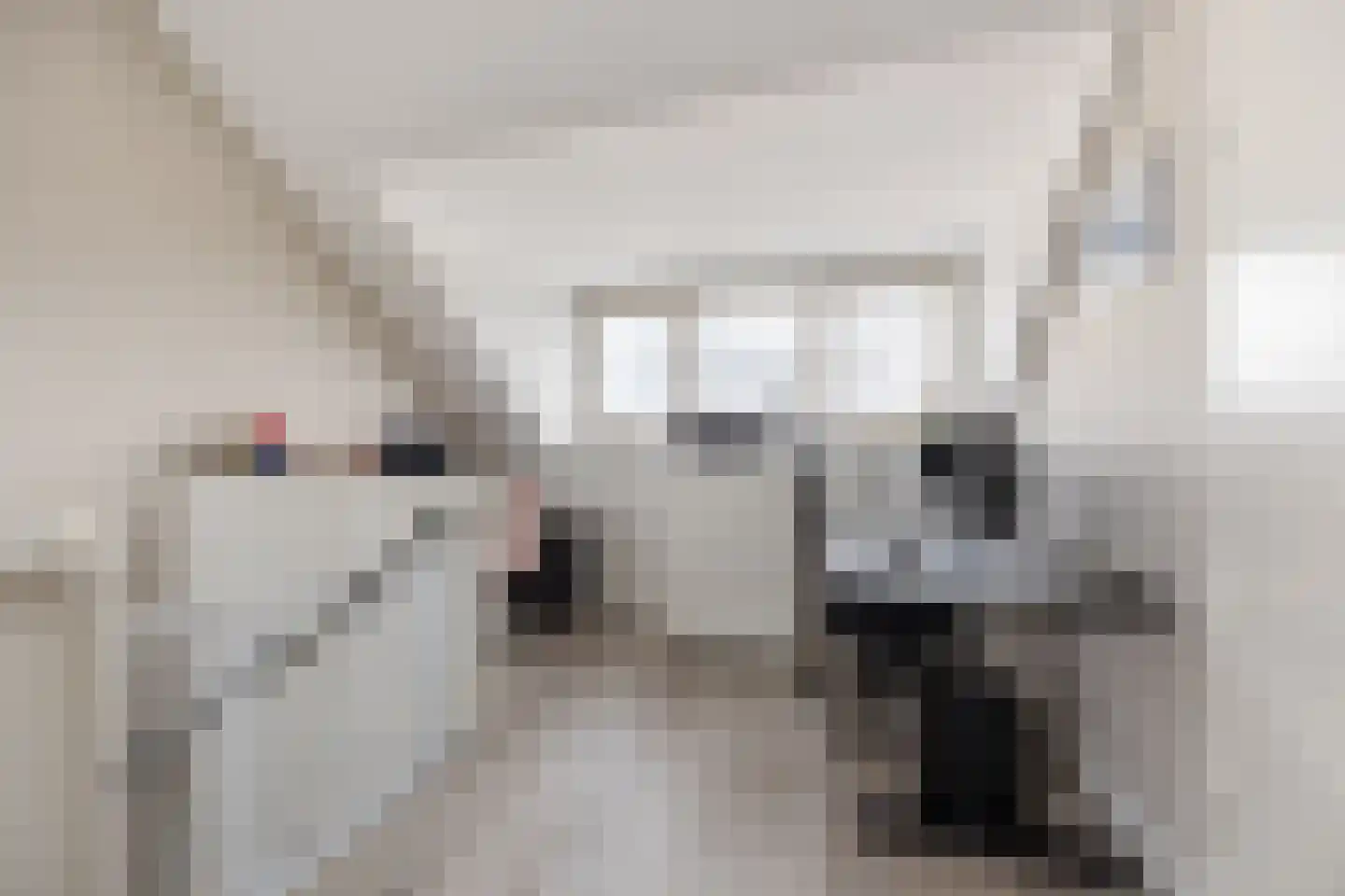 Beckaff 4 Bergen op Zoom thumbnail 37