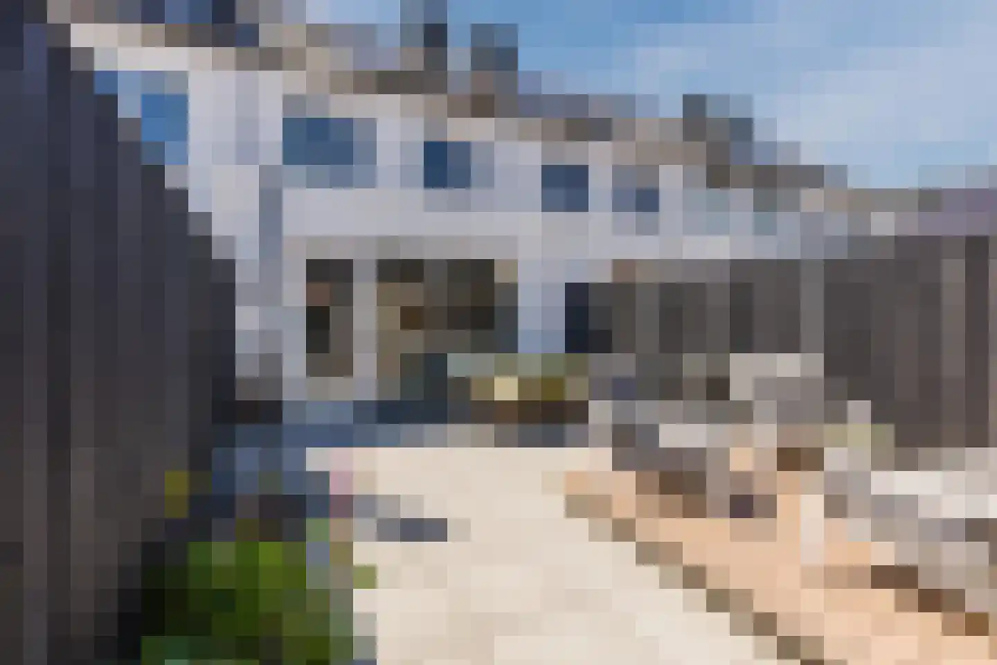 Beckaff 6 Bergen op Zoom thumbnail 7