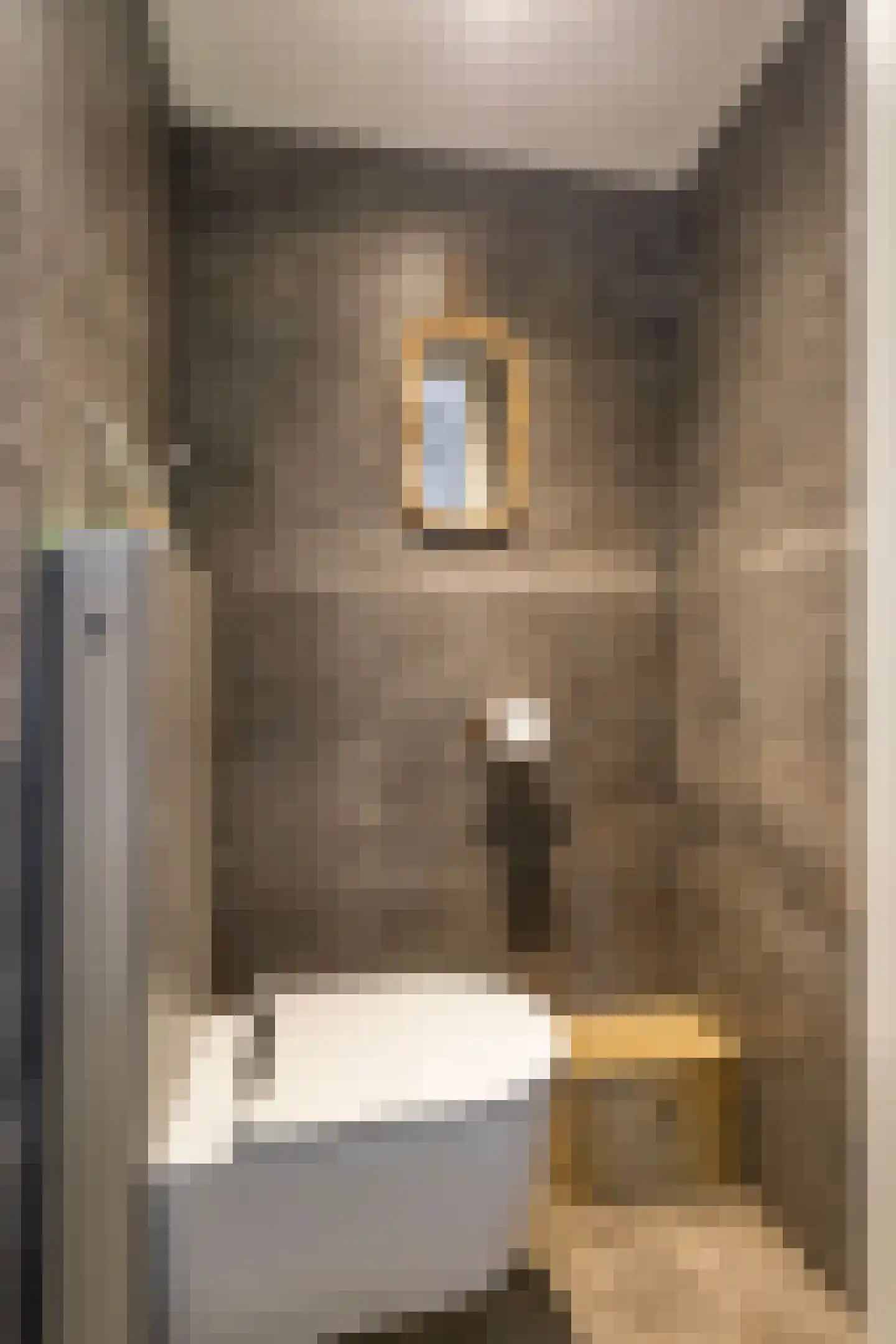 Beckeringhstraat 10 Soest thumbnail 15