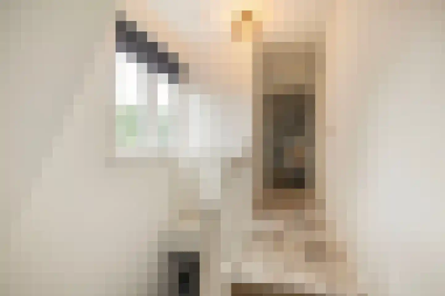 Beckeringhstraat 10 Soest thumbnail 17