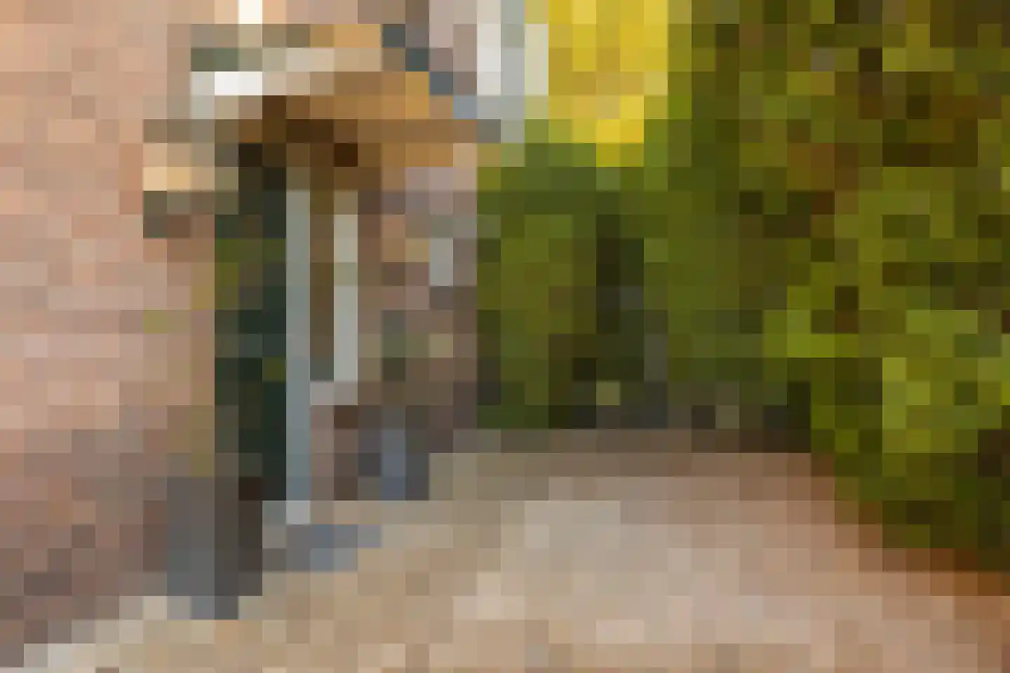 Beckeringhstraat 10 Soest thumbnail 35