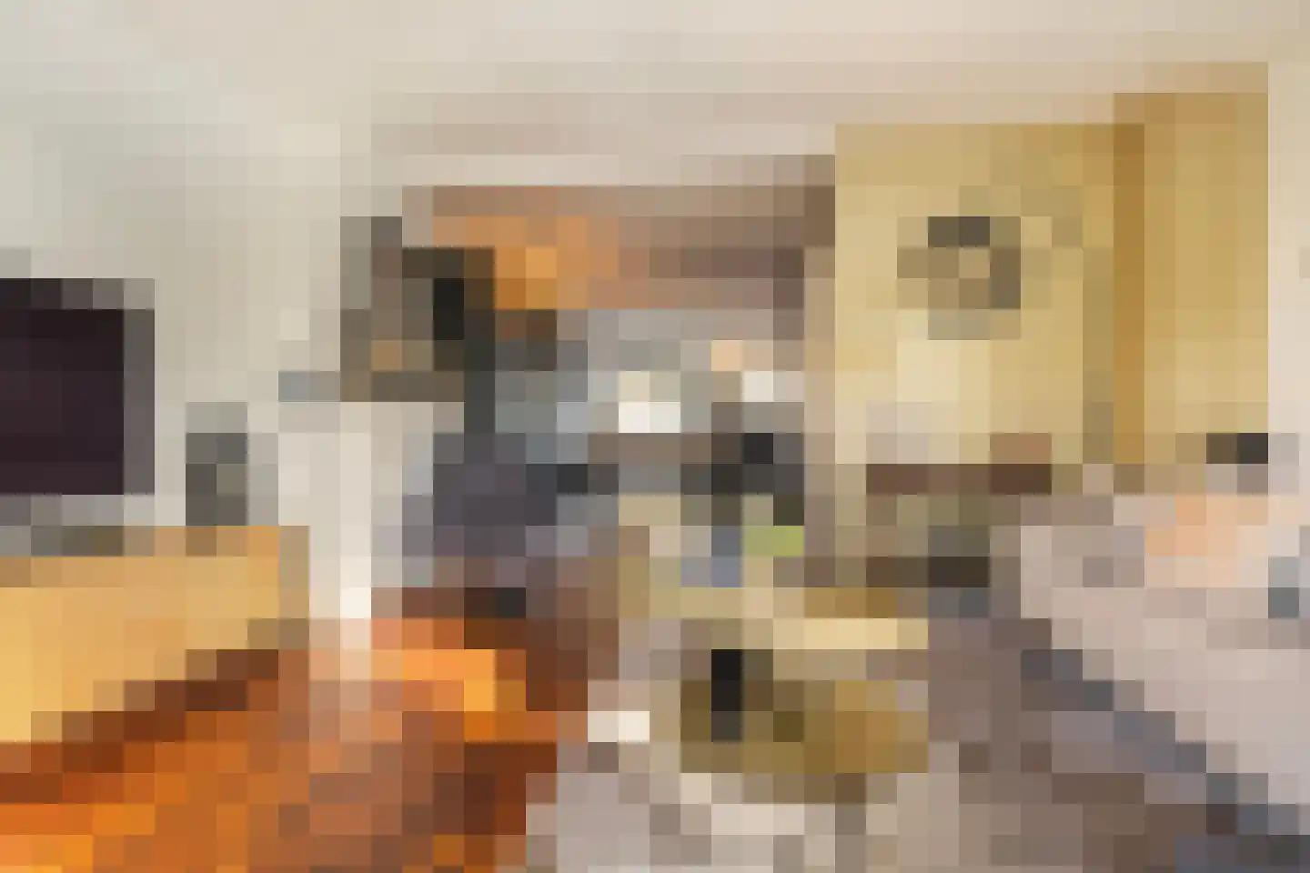 Beckeringhstraat 10 Soest thumbnail 8