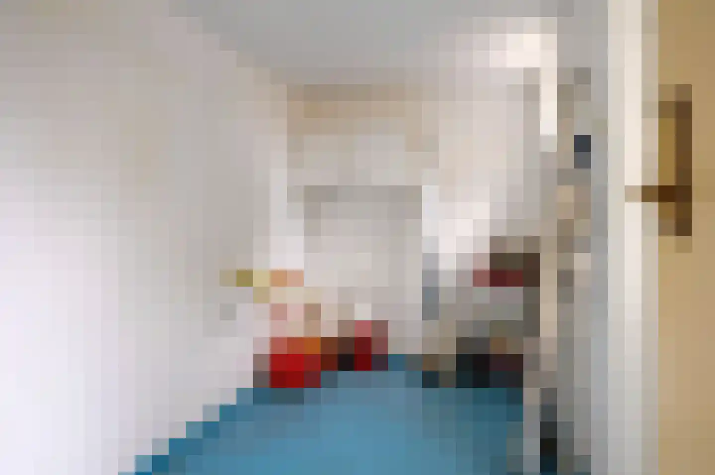 Beckeringhstraat 16 Onderdendam thumbnail 11