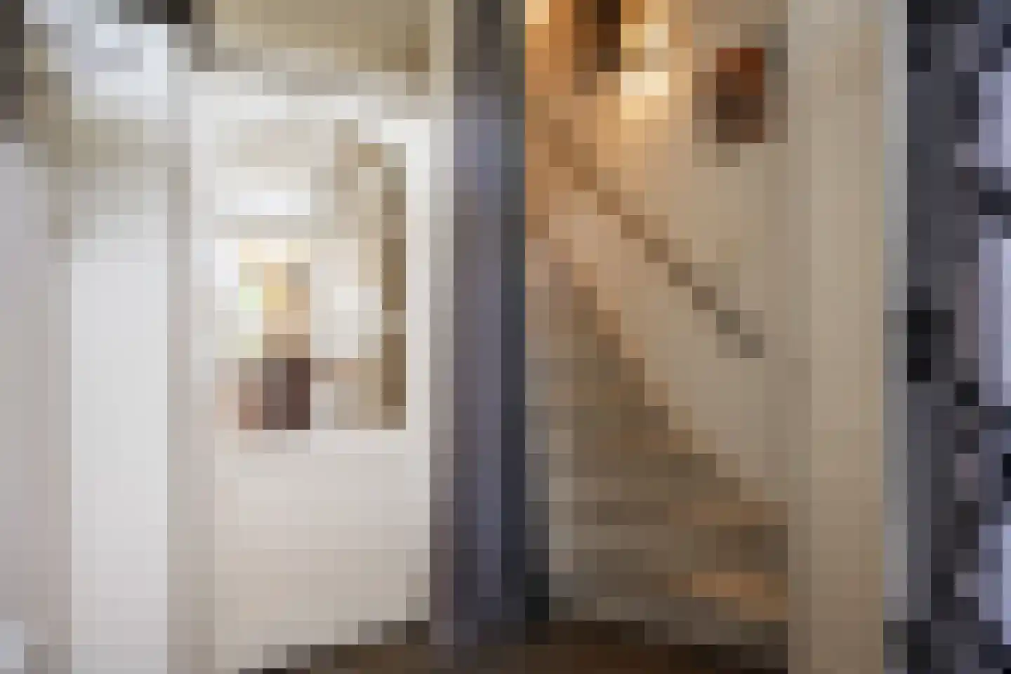 Beckeringhstraat 20 Onderdendam thumbnail 12