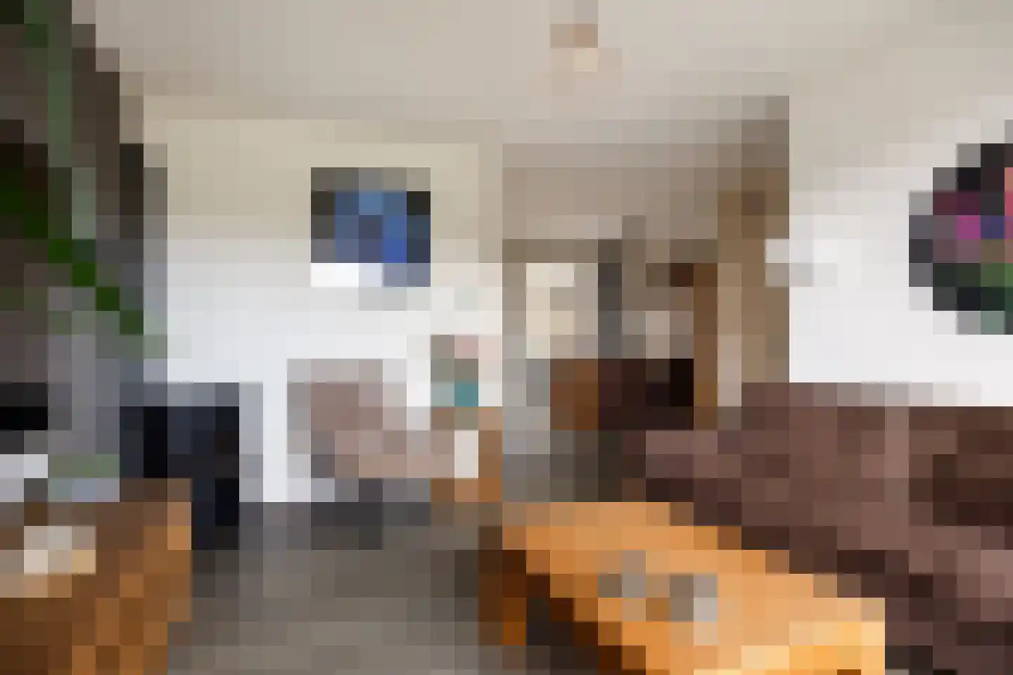 Beckeringhstraat 20 Onderdendam thumbnail 15