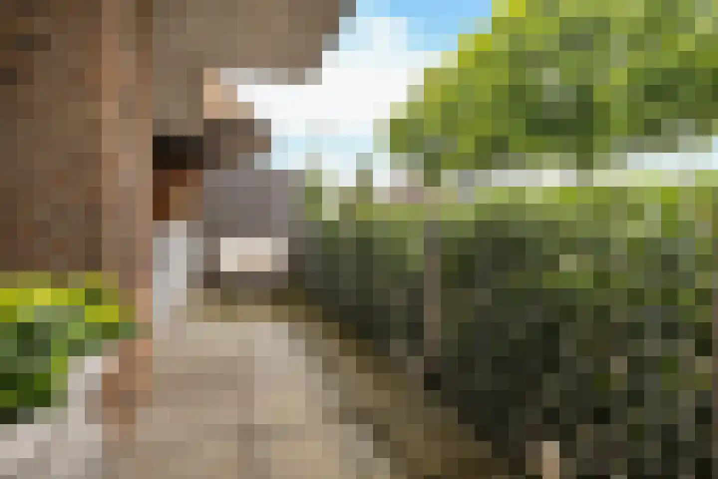 Beckeringhstraat 36 02 Soest thumbnail 13