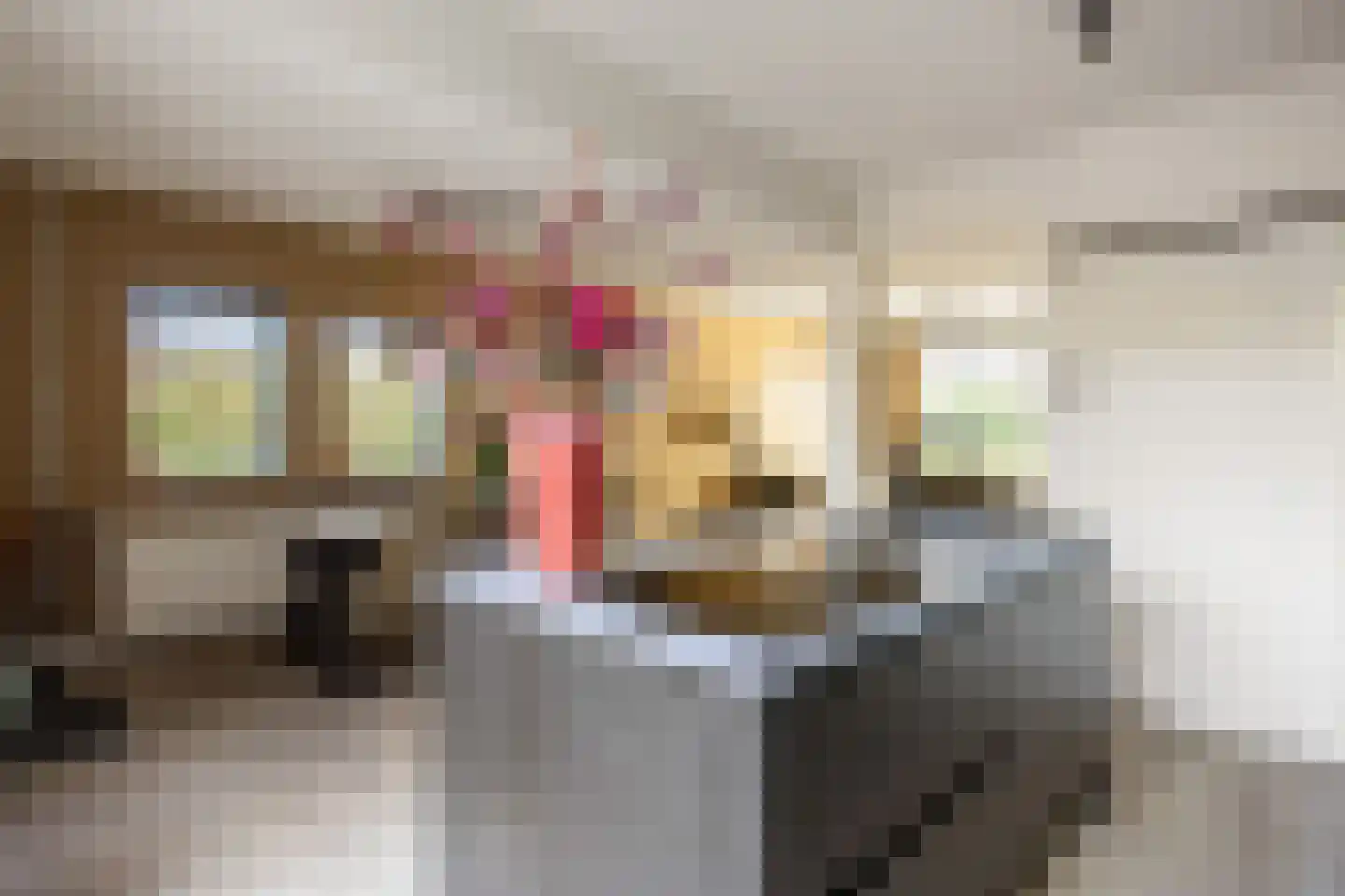 Beckeringhstraat 9 Onderdendam thumbnail 11