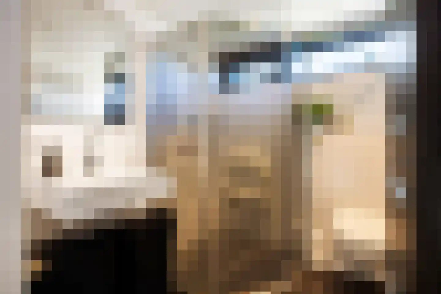 Beckeringhstraat 9 Onderdendam thumbnail 25