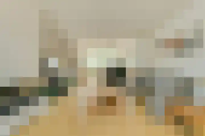 Beckershagen 14 Chaam thumbnail 17