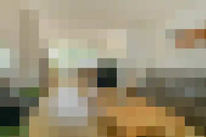 Beckershagen 14 Chaam thumbnail 18