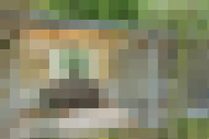 Beckershagen 14 Chaam thumbnail 33