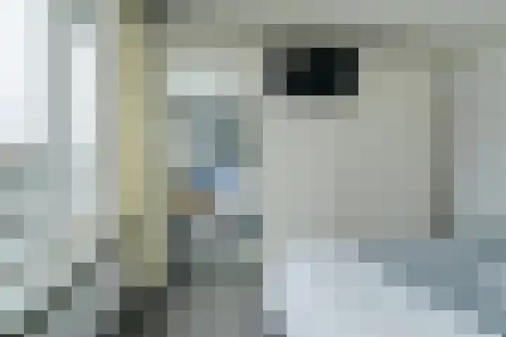 Beckershagen 14 Chaam thumbnail 43