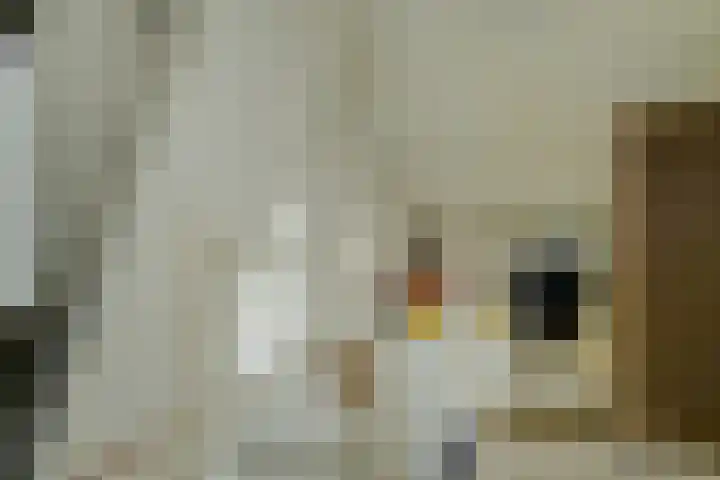 Beckershagen 14 Chaam thumbnail 54
