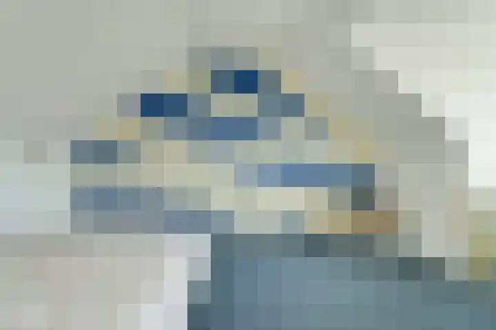 Beckershagen 14 Chaam thumbnail 55