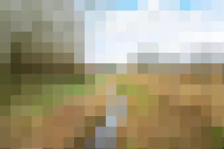 Beckershagen 14 Chaam thumbnail 65