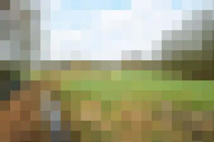 Beckershagen 14 Chaam thumbnail 66