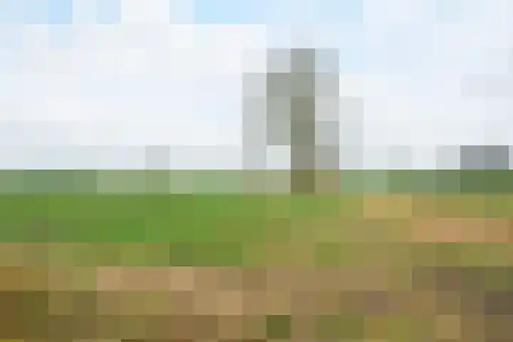 Beckershagen 14 Chaam thumbnail 67