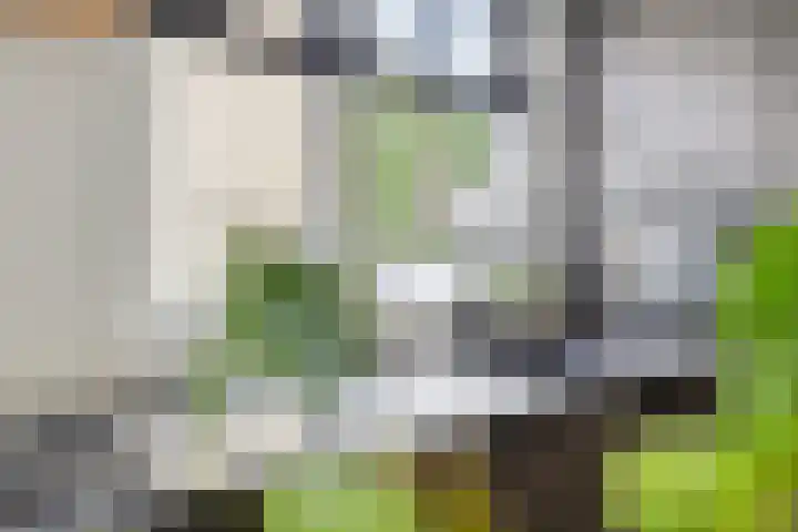 Beckershagen 52 Chaam thumbnail 15
