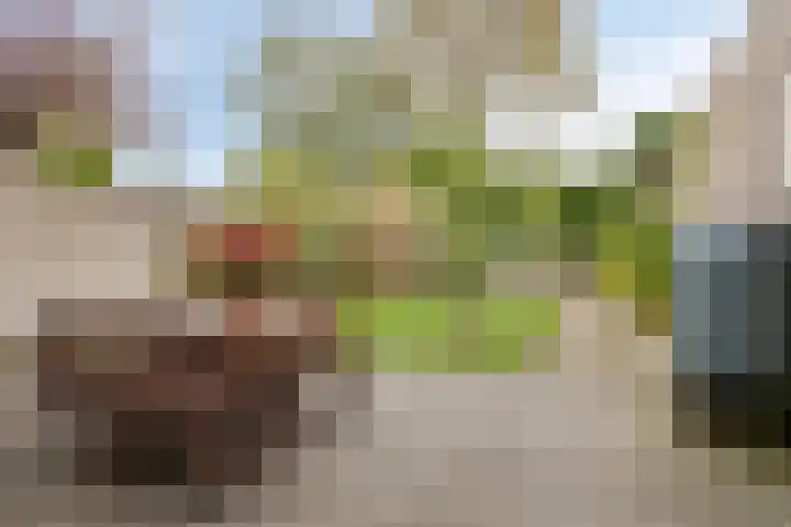 Beckershagen 52 Chaam thumbnail 28