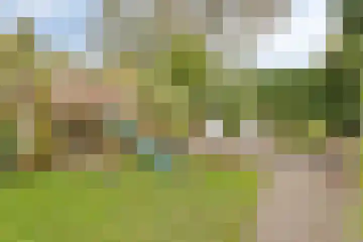 Beckershagen 52 Chaam thumbnail 29