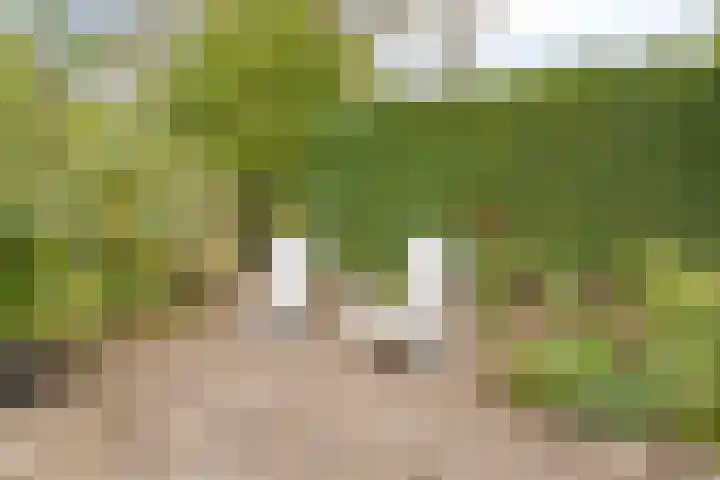 Beckershagen 52 Chaam thumbnail 30