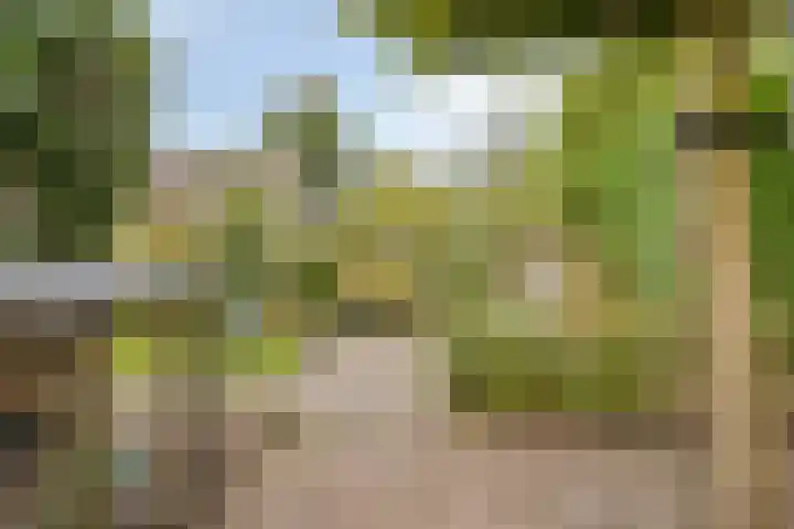 Beckershagen 52 Chaam thumbnail 31