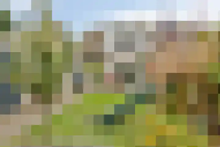 Beckershagen 52 Chaam thumbnail 32