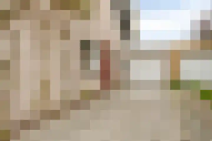 Beckershagen 52 Chaam thumbnail 34