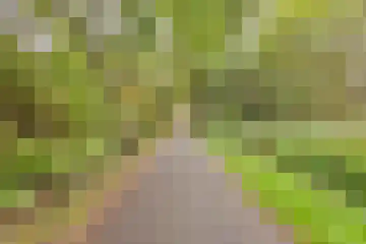 Beckershagen 52 Chaam thumbnail 36
