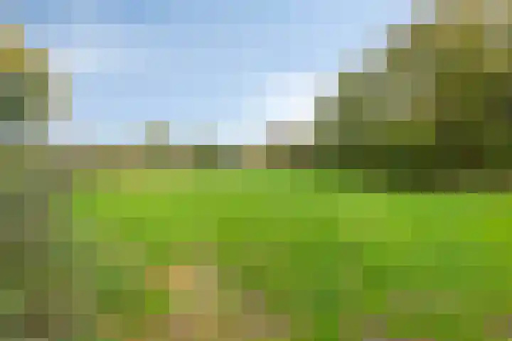 Beckershagen 52 Chaam thumbnail 37