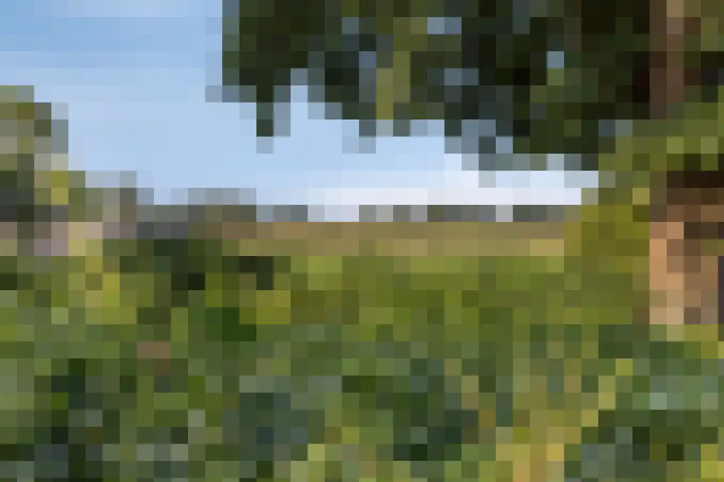 Beckershagen 8 Chaam thumbnail 32