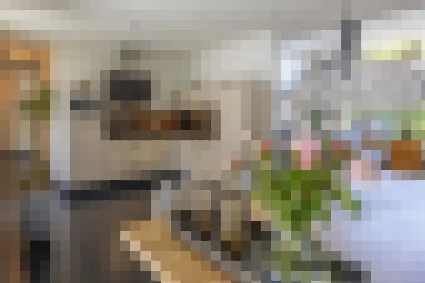 Beckershof 2 Leunen thumbnail 13