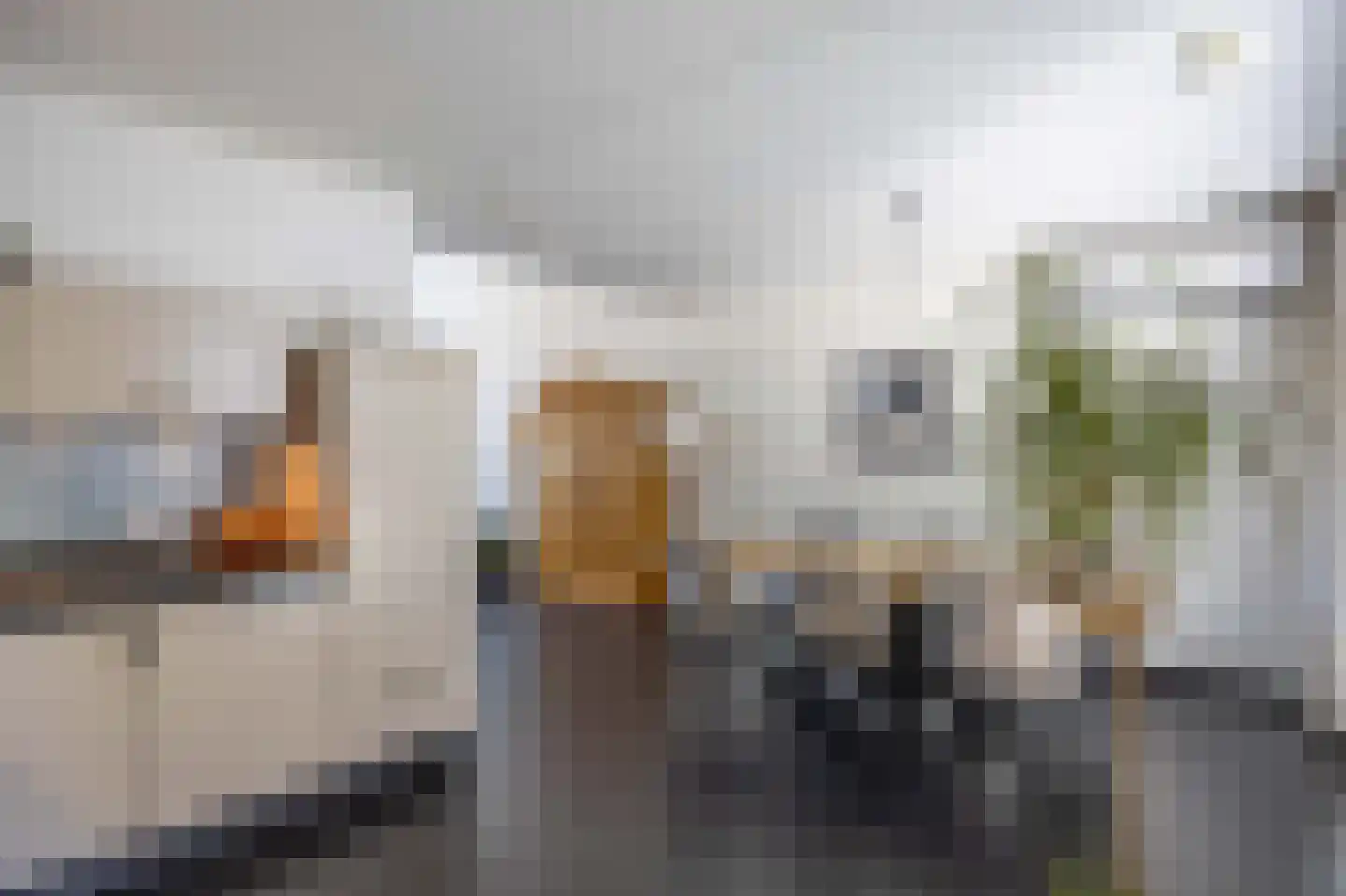 Beckershof 2 Leunen thumbnail 16