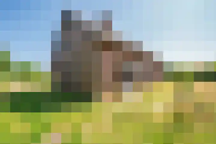 Beckersweg 39 Venlo thumbnail 38