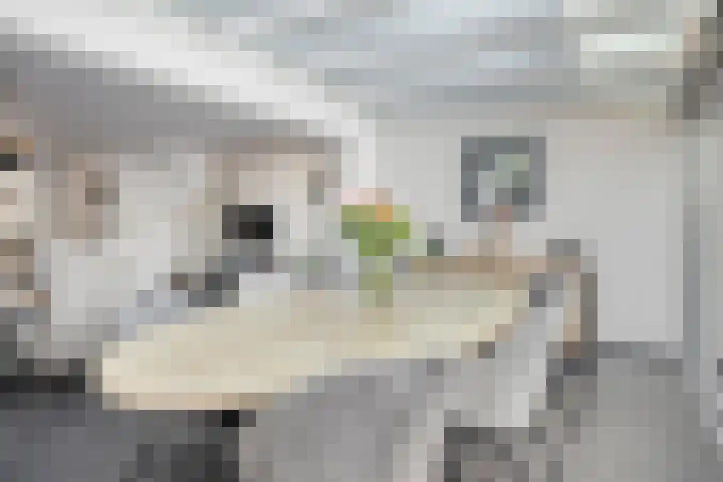 Beckerswei 13 Valkenburg thumbnail 13