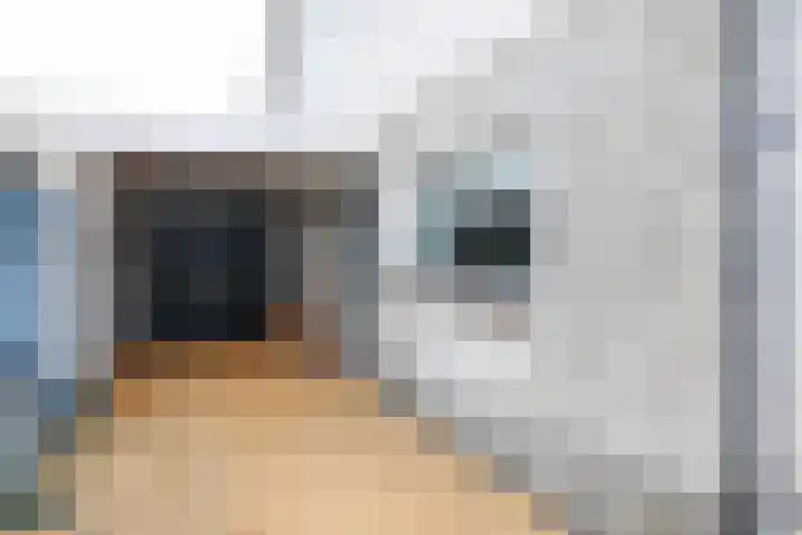 Beckrypleane 25 Menaam thumbnail 15