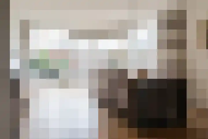 Beckrypleane 25 Menaam thumbnail 36