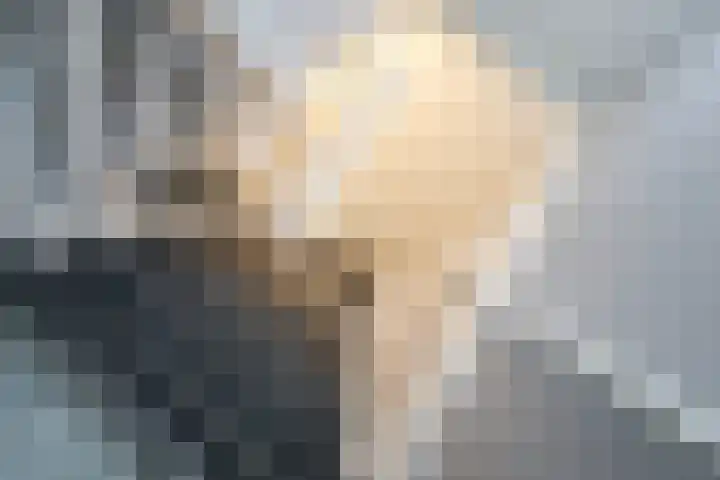 Beckrypleane 25 Menaam thumbnail 43