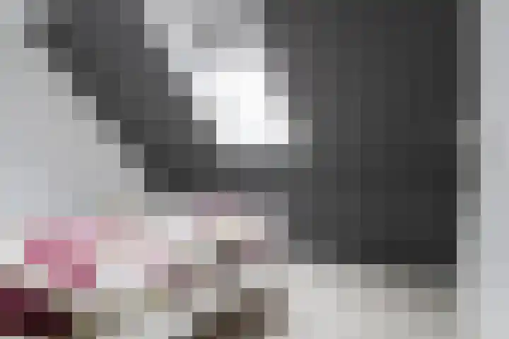 Beckrypleane 25 Menaam thumbnail 48