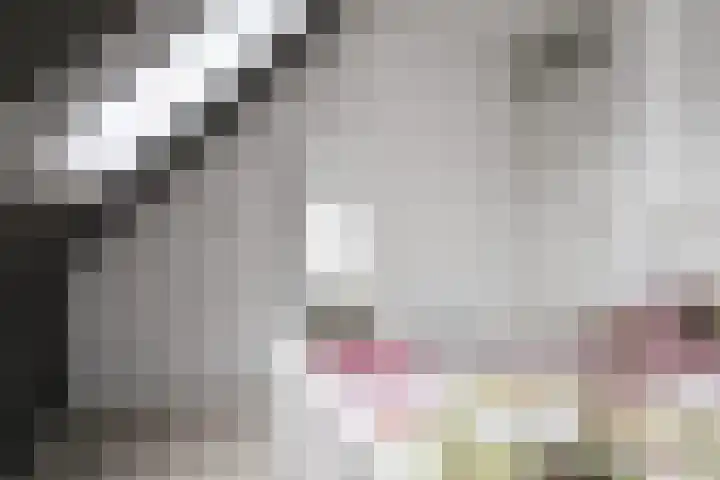 Beckrypleane 25 Menaam thumbnail 50