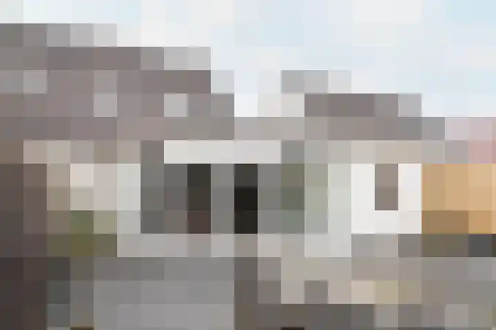 Beckrypleane 25 Menaam thumbnail 62