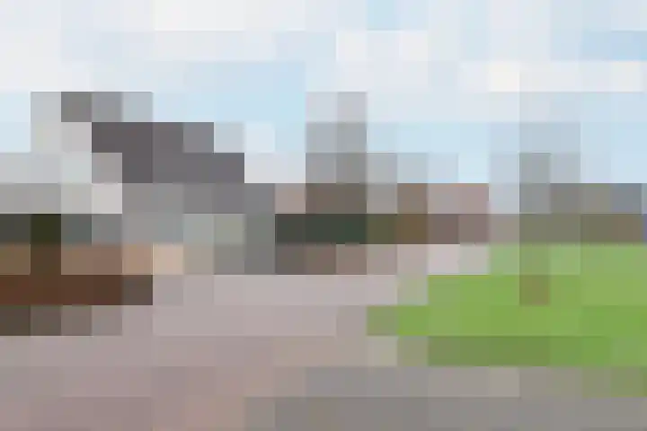 Beckrypleane 25 Menaam thumbnail 63