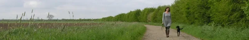 Office photo of Becks Makelaardij