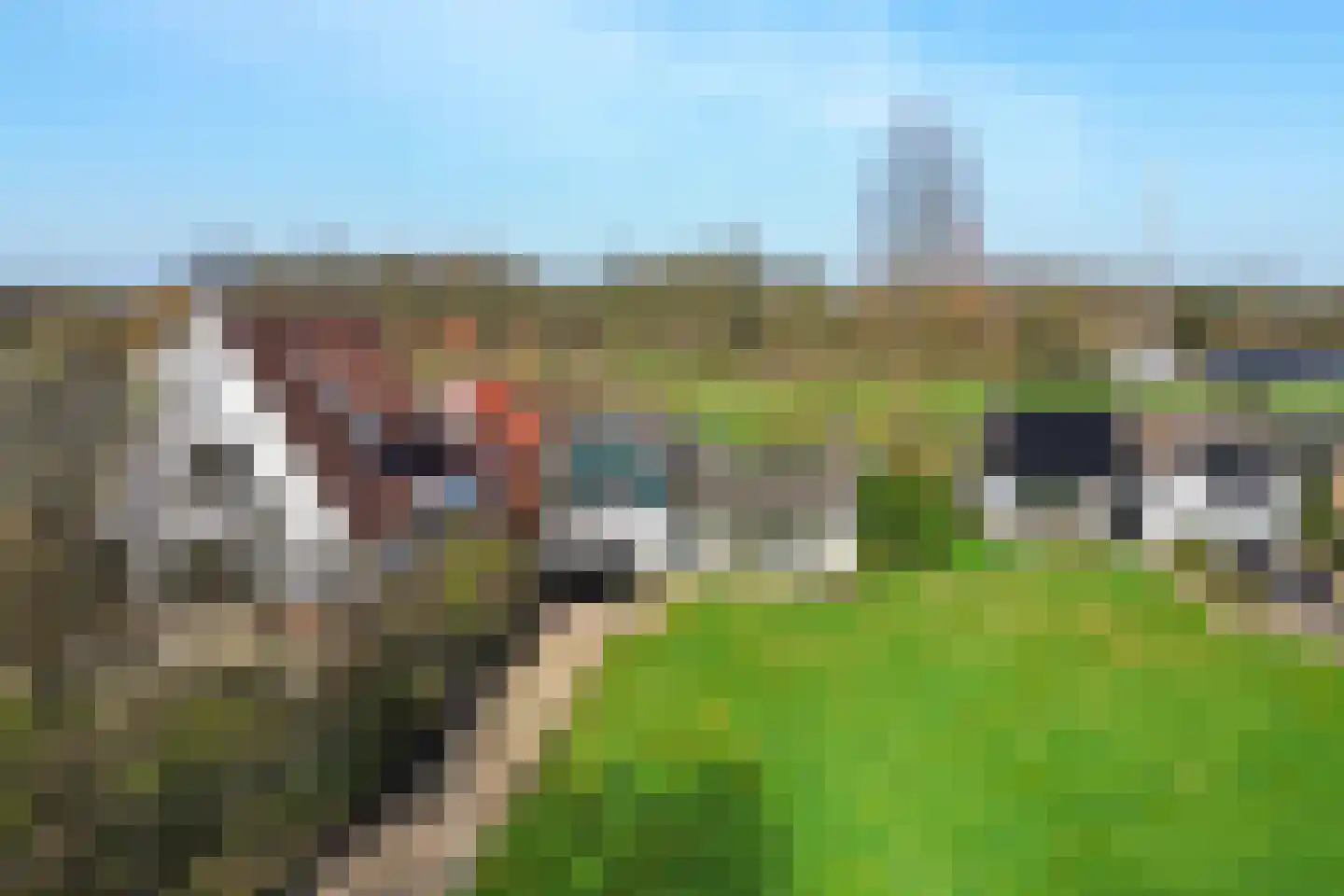 Beckumerschoolweg 24 Hengelo thumbnail 49