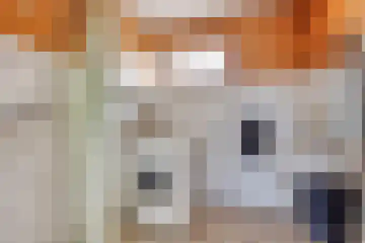 Beckumerstraat 181 Enschede thumbnail 20