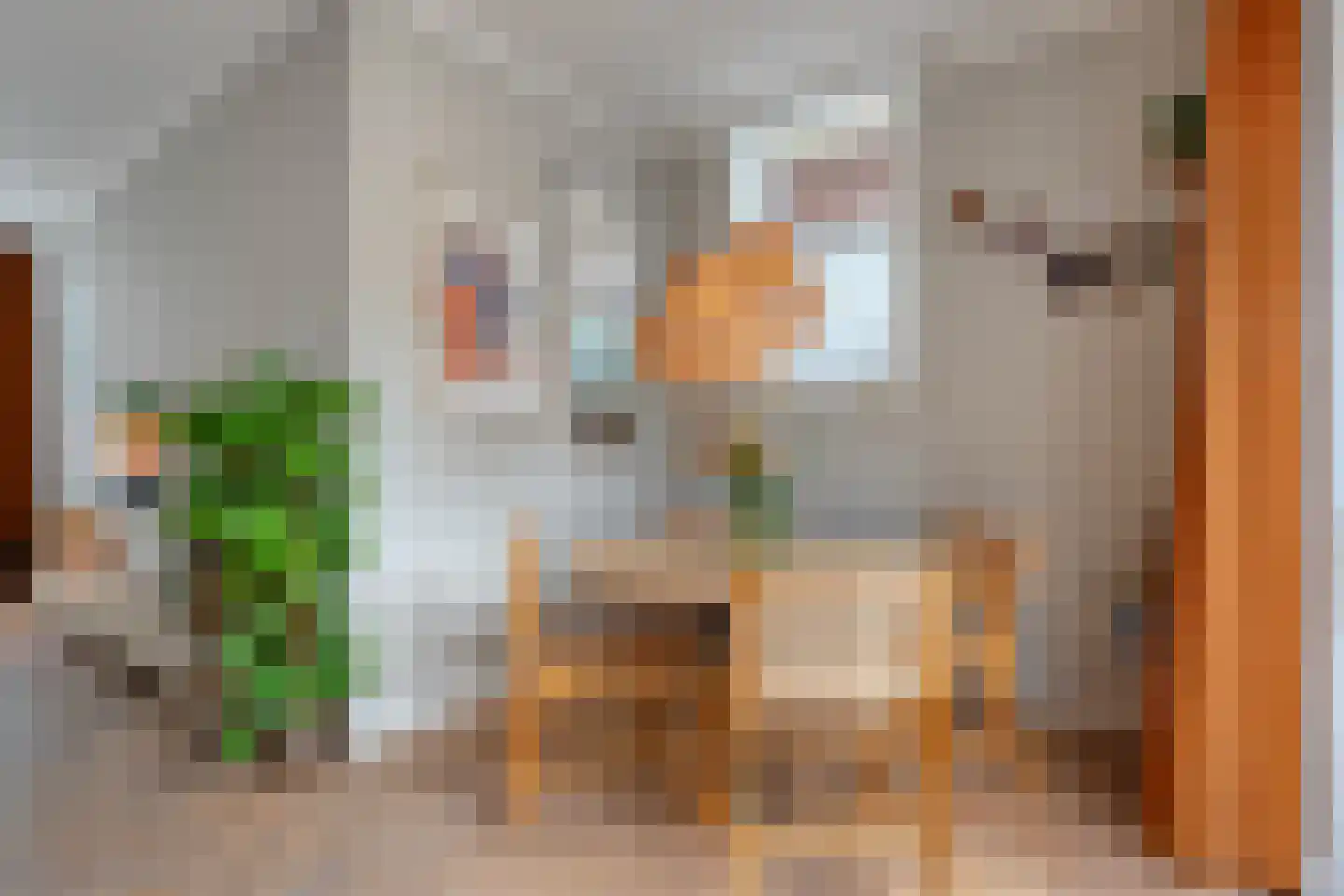 Beckumerstraat 48 Hengelo thumbnail 22