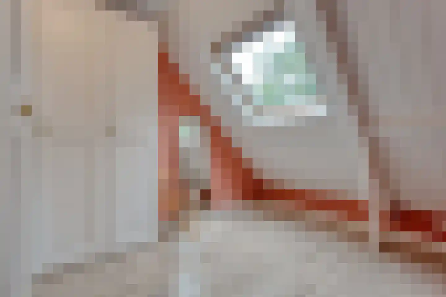 Beckumerstraat 48 Hengelo thumbnail 34