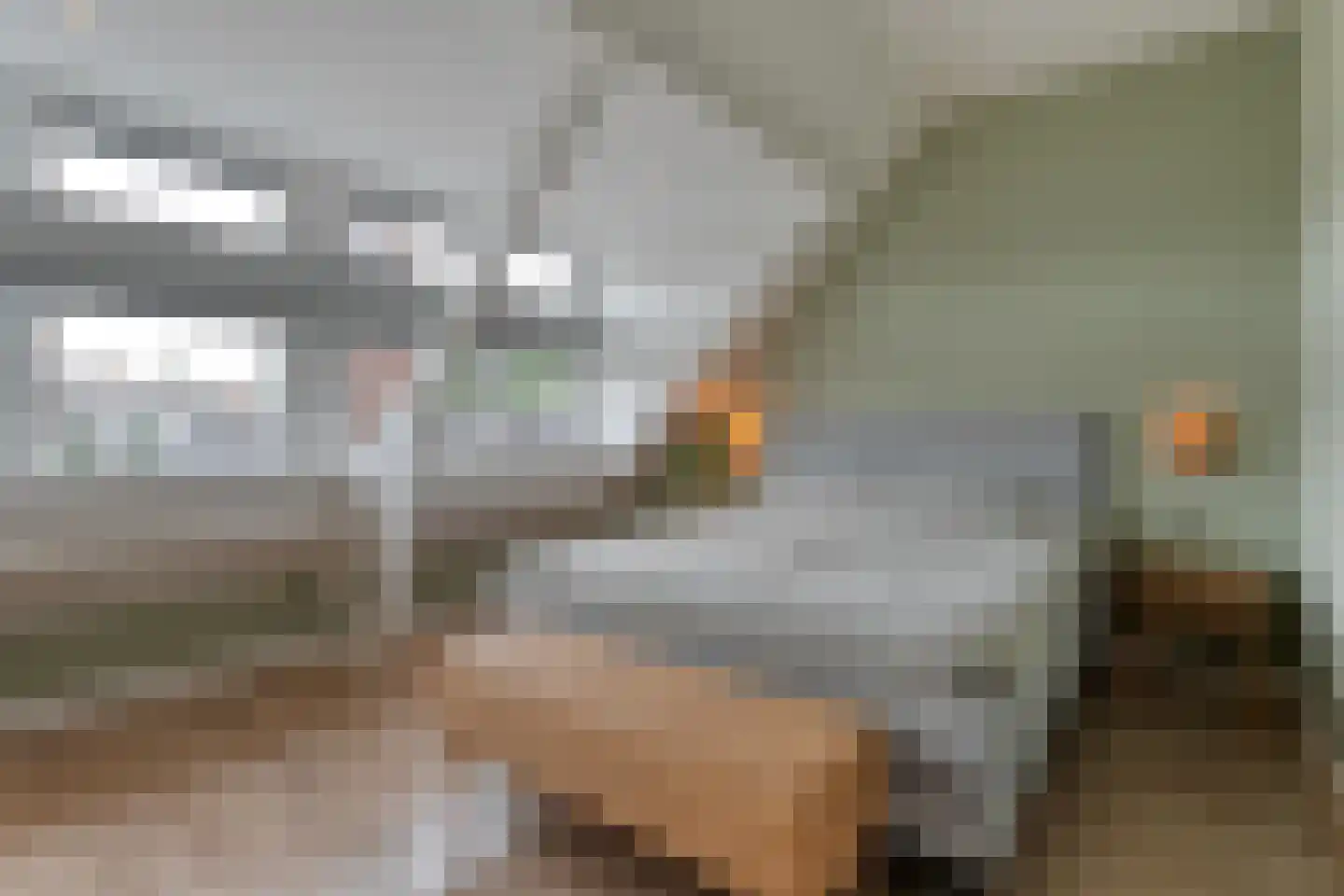 Beckumerstraat 48 Hengelo thumbnail 35
