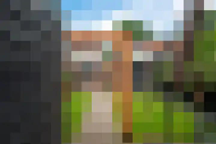 Beckumerstraat 8 Hengelo thumbnail 45